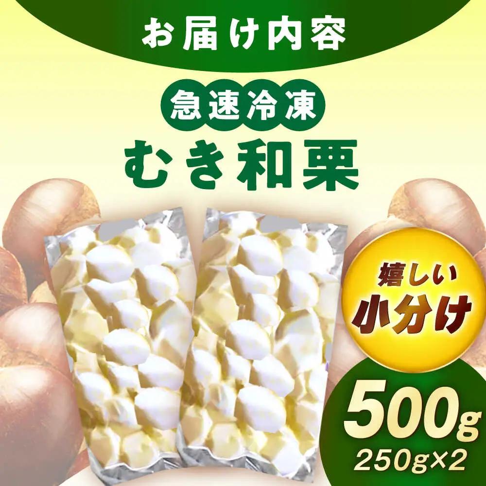 【先行予約】冷凍むき栗「日本栗」 計500g（250g×2P） / 恵那市 / えな笠置山栗園 [AUAV005]