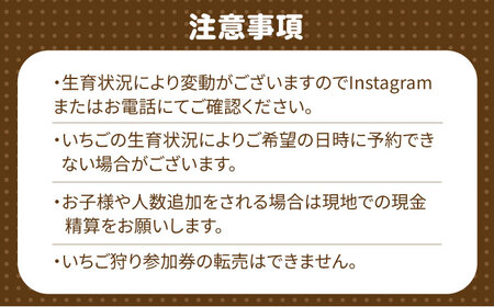 いちご狩り 40分食べ放題 ペア参加券  いちご 苺 いちご狩り 食べ放題 愛西市 / 有限会社マロンライフ[AEBN001]