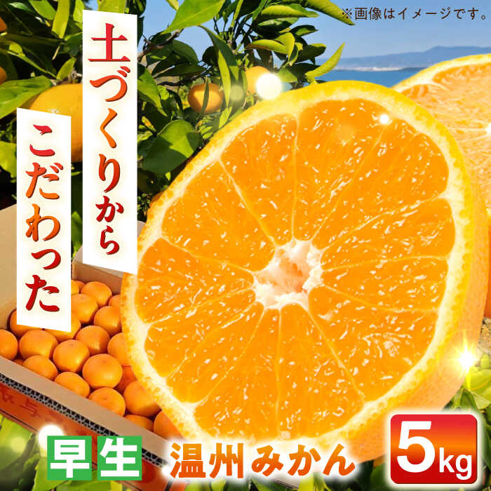 【ふるさと納税】【自然の力を活かした栽培】温州みかん（早生） 5kg -2025年11月中旬より発送- 長与町/農事組合法人希望種（きぼうのたね）[ECQ003] 先行予約 温州 みかん ミカン 蜜柑 柑橘 早生 除草剤不使用 長崎県 長与町 フルーツ 果物 旬 お取り寄せ こだわり 甘い