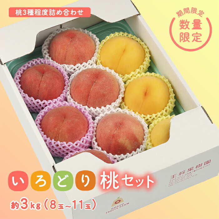 【ふるさと納税】 《先行予約 2026年度発送》【王将果樹園】いろどり桃セット もも モモ 桃 デザート フルーツ 果物 くだもの 果実 食品 山形県 FSY-2481