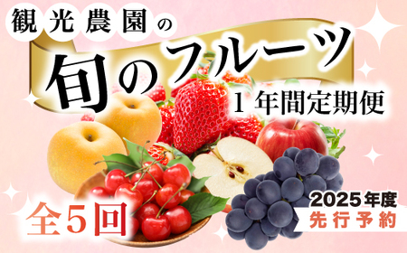 【フルーツ定期便全5回】豪華フルーツ いちご450g,さくらんぼ500g,梨2kg,ぶどう2kg,りんご2kg 詰め合わせ 採れたて 新鮮 産地直送 広島県 三原市 059021