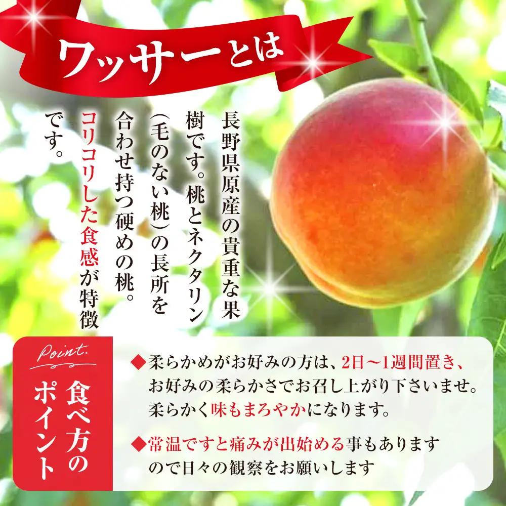 【2027年8月中旬～順次発送 先行予約】フルーツファーム中村農園 ワッサー 3kg | ワッサー 桃 ネクタリン 大玉