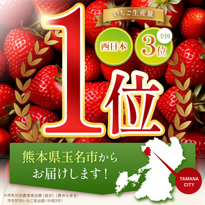 イチゴ 生産量 西 日本一 ‼ 厳選農家直送 いちご ゆうべに 約 1000g | フルーツ 果物 くだもの 苺 いちご  熊本県 玉名市