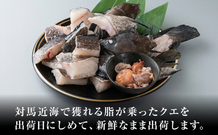 クエ鍋 切身 セット《対馬市》【いか吉工房】[WBO001]新鮮 肉厚 クエ 魚 海鮮 鍋 正月 コダワリクエ鍋 こだわりクエ鍋 おすすめクエ鍋 おススメクエ鍋 人気クエ鍋 定番クエ鍋 通販クエ鍋 お