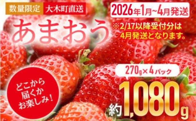 福岡産 あまおう いちご 270g×4パック 1080g