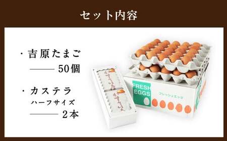 吉原玉子カステラセット たまご 50個（45個＋割れ保証5個） ＆ カステラ ハーフサイズ 2個 卵 カステラ