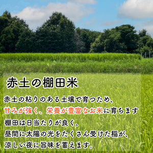 お米 コシヒカリ 5kg 令和8年産 【 米 】