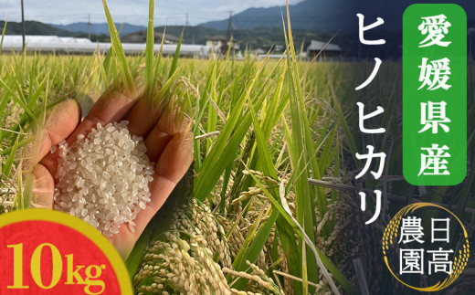 令和7年産！愛媛県産ヒノヒカリ 10kg ｜産地直送 国産  白米 ブランド米 期間限定 数量限定 ご当地 愛媛県 松山市