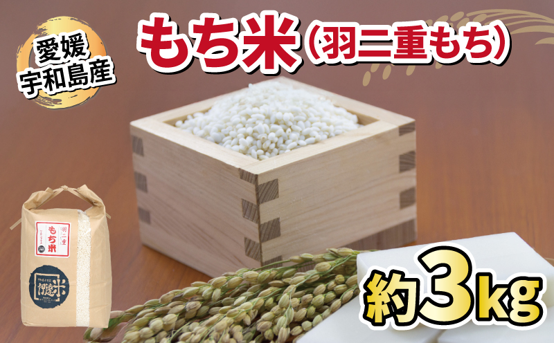 もち米 羽二重もち 3kg ワールドファーマーズ お米 米 餅米 はぶたえもち 餅ごめ お餅 おもち 餅菓子 なめらか お団子 だんご 鏡餅 甘い モチ お正月 産地直送 数量限定 国産 愛媛 宇和島 G010-024029