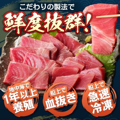 ふるさと納税 焼津市 本マグロ トロ ブツ 1kg(a15-674) |  | 01