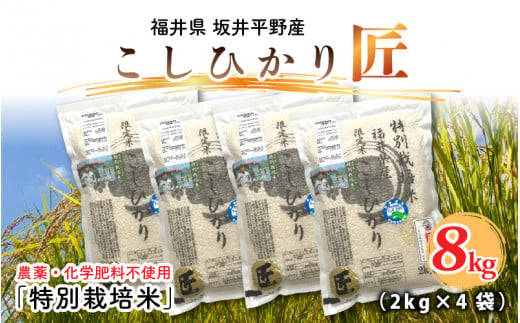 【先行予約】【令和6年産・新米】農薬・化学肥料不使用 コシヒカリ匠 8kg (2kg × 4袋)（白米）【2024年10月上旬以降順次発送予定】 [C-2919_01]