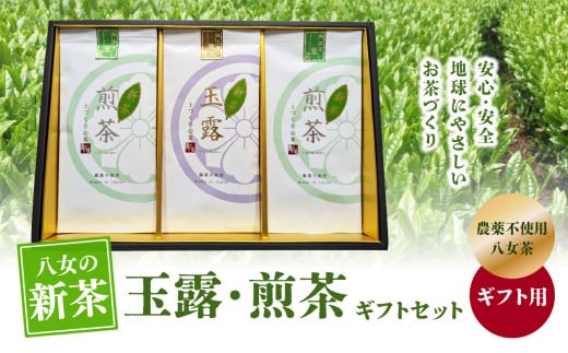 【2026年新茶】【ギフト用】玉露・煎茶ギフトセット【2026年6月上旬発送開始】 茶 お茶 新茶 煎茶 玉露 八女茶 国産 福岡県 ギフト プレゼント 贈答 八女市
