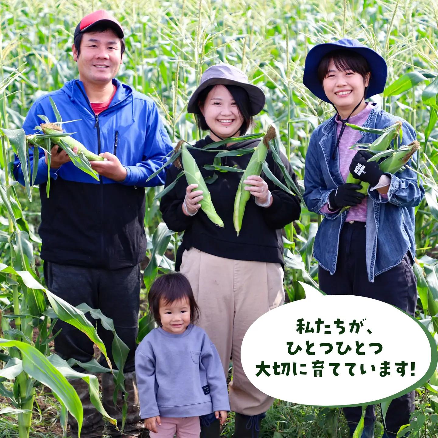 【先行予約】【2026年12月上旬より順次発送】【訳あり】さつまいも 約5kg(平均17本から30本)/ サツマイモ 芋 焼き芋 熊本県 菊陽町【株式会社さかもと農園】[BHDL001]