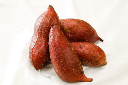 【京阪百貨店厳選】茨城県産ほしあかね 10kg [サイズ無選別品] 芋 さつま芋 サツマイモ さつまいも B18-012