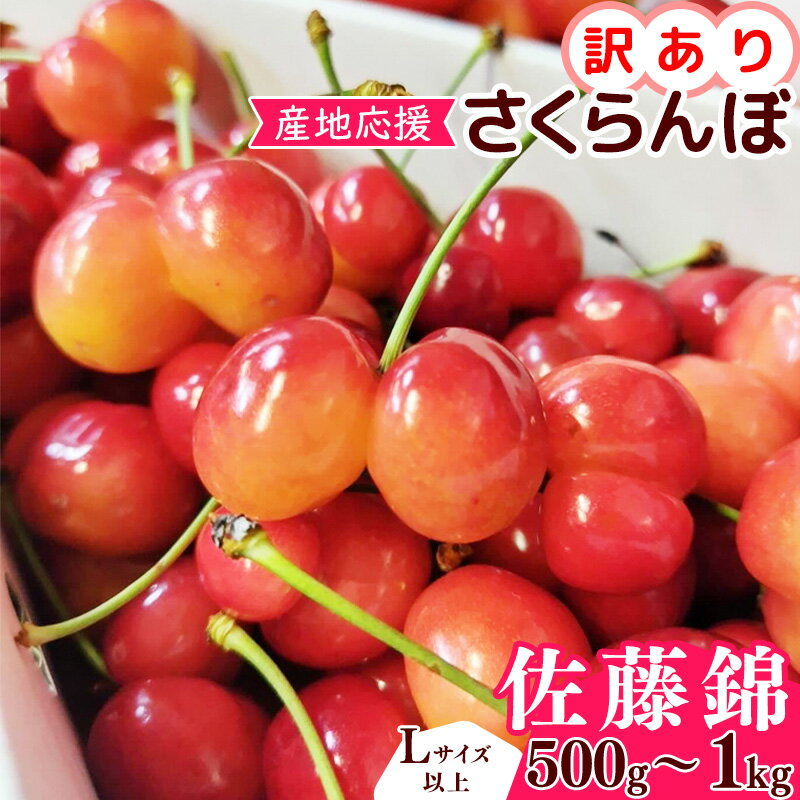 【ふるさと納税】【先行予約】訳あり（双子果入り） さくらんぼ 佐藤錦 Lサイズ以上 500g 〜 1kg バラ詰 令和8年産 山形県産【2026年6月上旬頃〜下旬頃発送予定】※配送不可 沖縄・離島フルーツ 果物 果実 山形産 500グラム 1キロ 2026年産 令和8年 直送 ご家庭用 双子