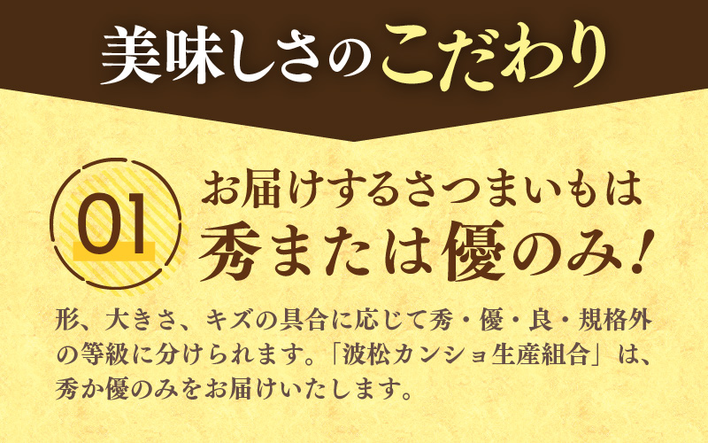 【先行予約】あわら市波松産 紅はるか 5kg / 厳選 不揃い さつまいも 土付き 熟成 焼き芋 福井県 薩摩芋 密芋 スイートポテト しっとり ほっくり 自然のスイーツ 極甘 農研機構許諾済 メディ