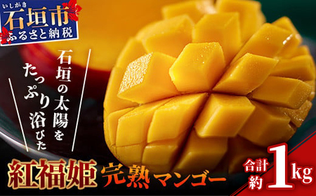 【2026年発送 予約受付分】「紅福姫ブランド」石垣島のマンゴー 約1kg【沖縄県 石垣市 産地直送 旬 石垣島産 マンゴー 完熟マンゴー アーウィン種マンゴー】
