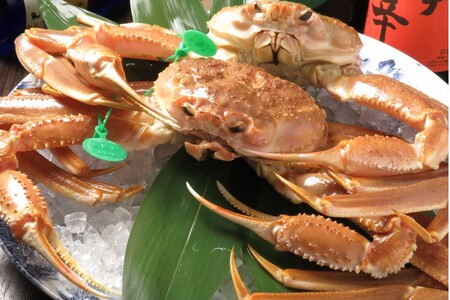 【幻のズワイ蟹】　　京丹後産　茹で間人蟹（中）　鮮度抜群、浜茹でにてお届け！！ 600g級×2杯