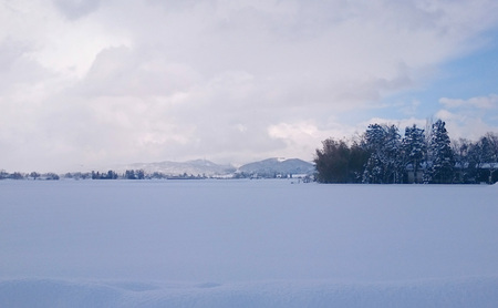 Riki-saku コシヒカリ　2Kg×2袋【アフコ・秋山農場のPB米】