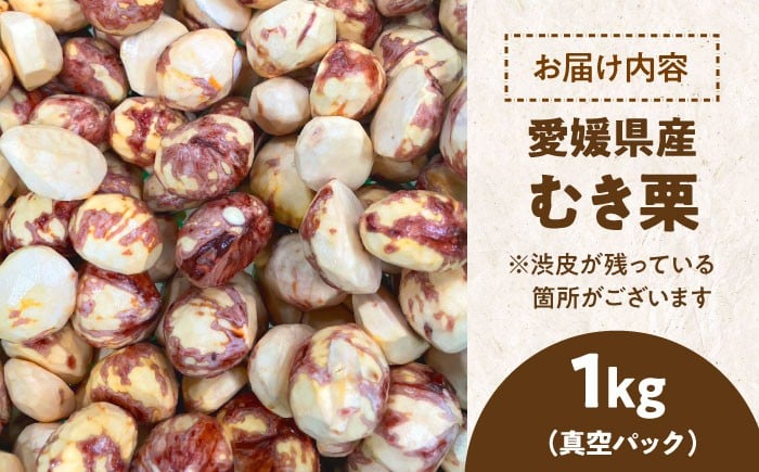 食品 果物 フルーツ 栗 くり クリ むき栗 お菓子 和菓子 料理 贈答品 ギフト 栗ご飯 愛媛県産栗 大洲市産栗 訳あり