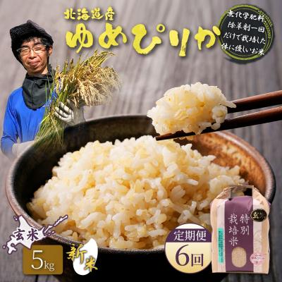 ふるさと納税 羽幌町 【2026年産新米】【定期便:6回】ゆめぴりか玄米 5kg(無化学肥料、除草剤一回)【25209】