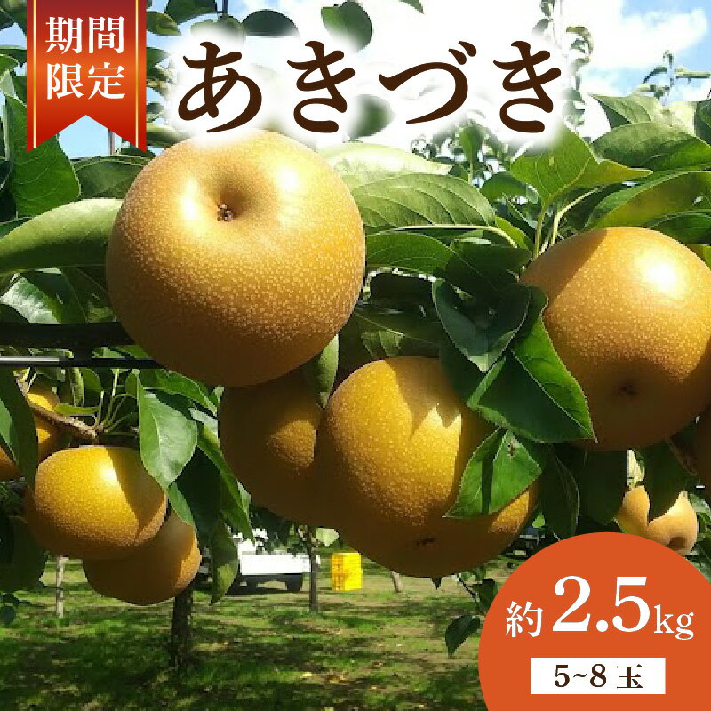 【ふるさと納税】 【 数量限定 】 梨 あきづき 約 2.5kg 5玉～8玉 なし 旬 和梨 千葉県産 国産 2025年 9月～発送 果物 フルーツ くだもの 秋月 果汁 甘み 甘い 糖度 酸味 旬の梨 秋 産地直送 新鮮 鮮度 厳選 ふるさと納税 産地 送料無料 千葉県 千葉 旭市 旭市産 齋藤園