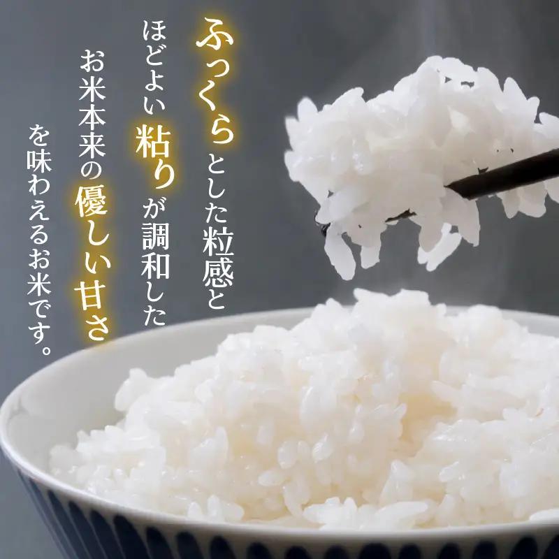いちほまれ 2kg 精米 いちほまれ