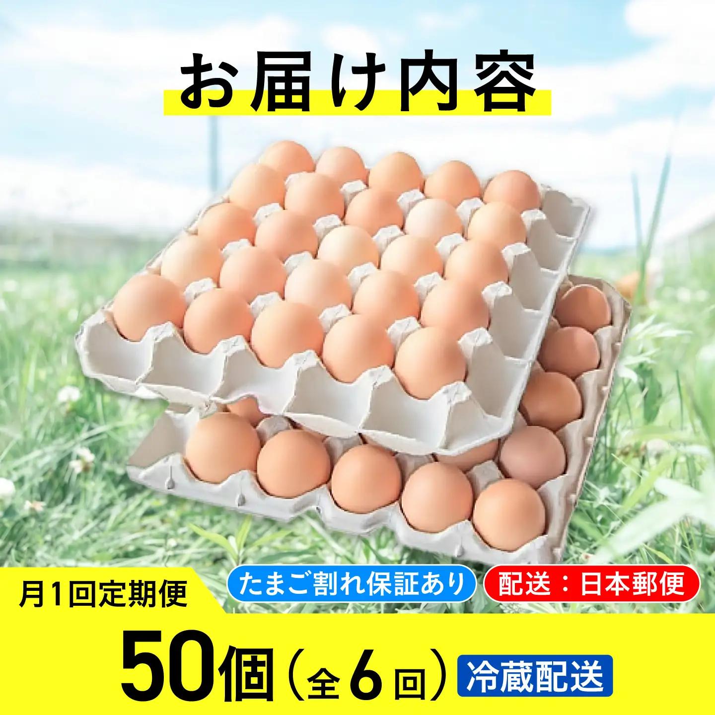 たまご 定期便 6回 有精卵 50個 計300個 冷蔵 [AXAN002]