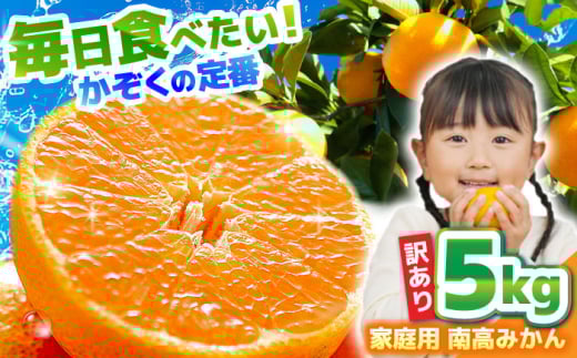 【2025年12月中旬～発送】【訳あり】家庭用 南高みかん 5kg / みかん ミカン みかん ミカン ミカン 蜜柑 果物 くだもの フルーツ 甘い 不揃い 訳あり 訳アリ 5kg 長崎県 国産 mikan 柑橘 ★ / 南島原市 / 南高果樹農業協同組合 [SGI001]