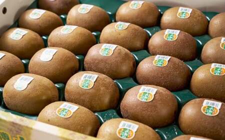 福岡県産ブランドキウイ・甘うぃ 約3kg （24-33玉） キウイ キウイフルーツ 果物 くだもの フルーツ 常温 国産 岡垣町 【2025年10月下旬～12月上旬発送予定】