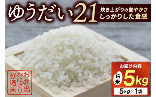 ＼先行予約・11月発送／山﨑観光農園のお米　ゆうだい21　白米5kg｜栃木県 益子町 ふるさと納税 お米 米 白米 精米 5kg（AU006-11）