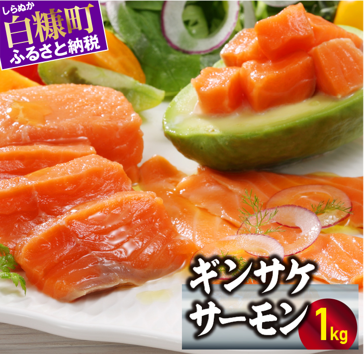 ギンサケサーモン【1kg】 小分け 下処理不要 絶品の「塩締め」レシピ ふるさと納税 海鮮 サーモン 鮭 魚 銀鮭 刺身 生食用 さけ サケ ふるさと ランキング 人気 魚介類 魚介 北海道 白糠町_T011-0905-2603
