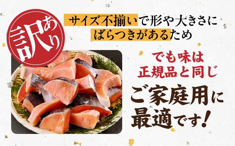 【定期便】銀鮭 切身 約50g×20切れ 全6回【お弁当サイズ 小分け 漁師 手切り 1kg さけ サケ 切り身 弁当 朝食 時短 訳あり サイズ不揃い 規格外 冷凍食品】 G4011
