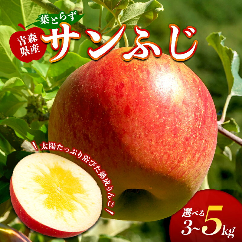 【ふるさと納税】葉取らずサンふじ 約3kg or 約5kg【ふじさき季の会】 容量が選べる 青森りんご リンゴ 林檎 アップル ふじ発祥の地 おすすめ 東北 青森県 藤崎町 F41-0120var