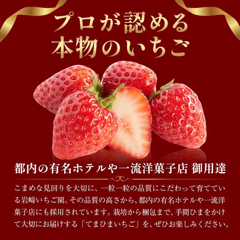 いちご 栃木県芳賀町産 とちあいか 4パック 岩崎いちご園