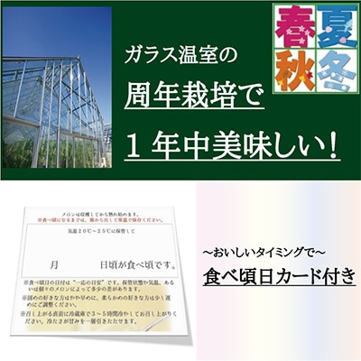 【毎月定期便】クラウンメロン(白等級)小玉1玉・6ヵ月毎月お届け全6回【配送不可地域：離島・北海道・沖縄県】