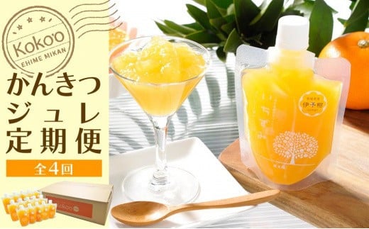 【定期便・年４回】かんきつジュレ定期便　30個×4回