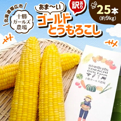 【ふるさと納税】先行予約【十勝ガールズ農場】訳あり 直送 朝もぎつぶつぶ「あま～いゴールドとうもろこし」25本【配送不可地域：離島】【1462031】