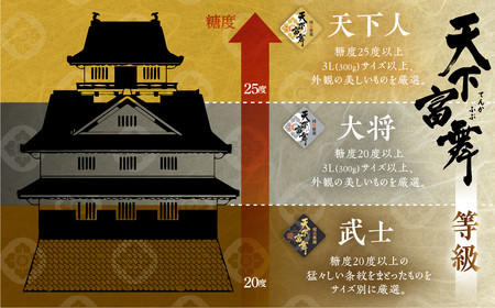 [先行予約]令和7年産 岐阜の高級ブランド柿「天下富舞(てんかふぶ)」武士(もののふ) 8～12玉入り【ご家庭用】10月下旬～11月中旬に配送 [0959]