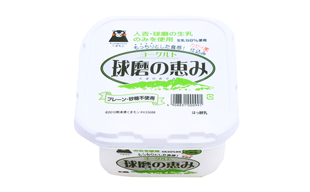 ヨーグルト 無糖 プレーン 球磨の恵ヨーグルト 1kg×2パック 砂糖不使用 乳製品 配送不可:沖縄、離島 発酵食品 朝食 間食 新鮮 生乳 とろ～り もっちり 酸味がない 2個セット 2キロ 大容量