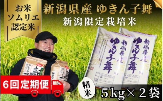 【先行予約】【令和8年産】〈6回定期便〉 【お米ソムリエのお米】 ゆきん子舞 精米 10kg（5kg×2袋） 新潟県 五泉市 エバーグリーン農場