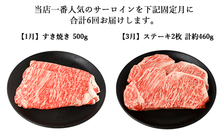 【年6回】伊賀牛 A5サーロイン 定期便コースC 総合計約2.9kg【dido-tkb0011】