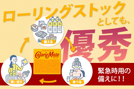 【大塚製薬】カロリーメイト ブロック【チョコレート味】4本入り×30箱［徳島 那賀 カロリーメイト チョコ ビタミン ミネラル たんぱく質 脂質 糖質 5大栄養素 バランス栄養食 栄養補給 仕事 勉強
