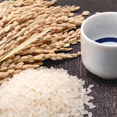 ふるさと納税 森町 令和7年産　新米　北海道森町濁川産　ゆめぴりか米　5kg　精米 |  | 02