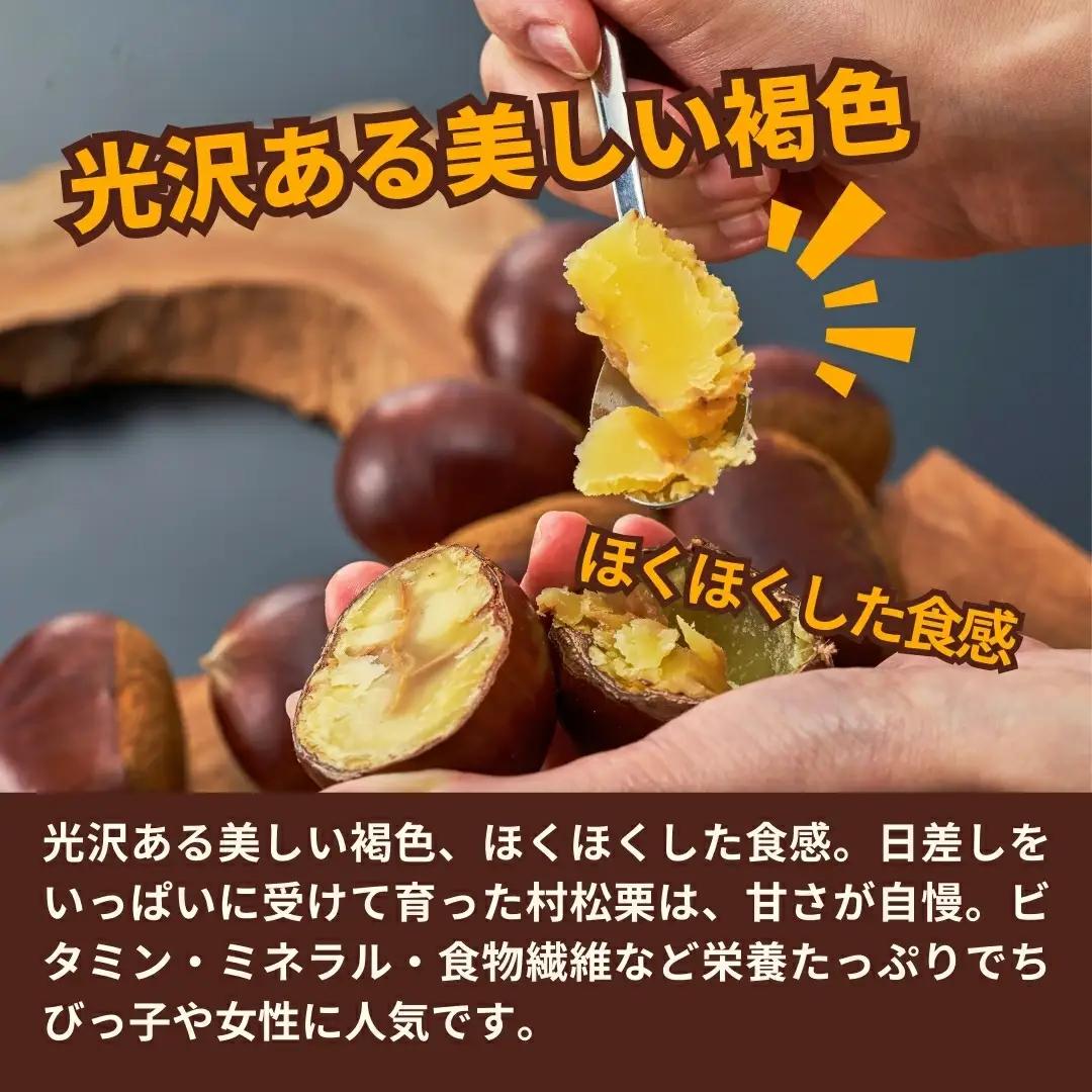 【先行予約】くり 越後村松の栗 2Lサイズ 2kg 大粒【2026年10月下旬発送】 | 新潟県 五泉市 栗 クリ マロン 果物