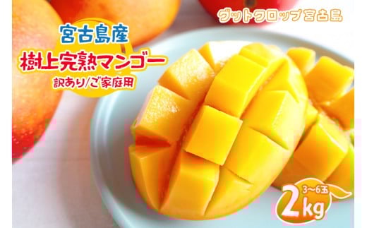 
            SG005 ＜2026年夏発送＞ 宮古島産樹上完熟マンゴー（訳あり/ご家庭用）2kg（3～6玉）グットクロップ宮古島
          