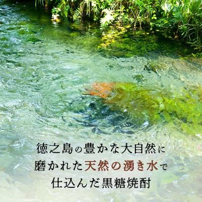 ふるさと納税 伊仙町 【毎月定期便】奄美黒糖焼酎 島のナポレオン 900ml 紙パック 12本セット全6回 |  | 01