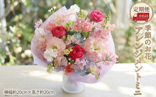 ≪定期便≫季節のお花アレンジメントミニ＊6回 アレンジメント 生花