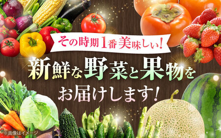 【全6回定期便】【数量限定】菊陽町特産品 「野菜・果物などの詰め合わせ」 / 新鮮 詰合せ フルーツ セット 旬 おまかせ にんじん 直売所 やさい くだもの 熊本県 特産品 菊陽町【有限会社さんふれ