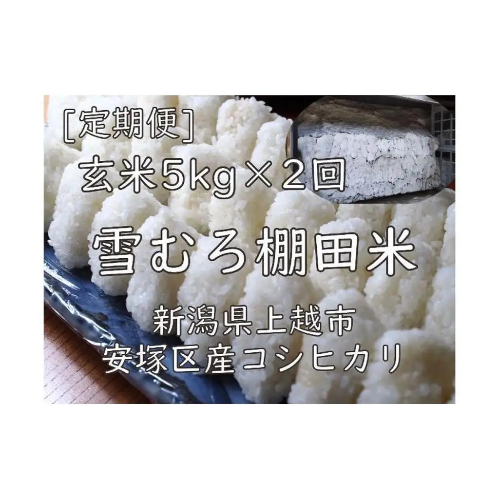 棚田米 コシヒカリ 玄米 コシヒカリ 5kg 毎月2回【定期便】